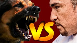 Cesar Millan vs Aggressive Dogs Compilation Video [upl. by Carmelita940]