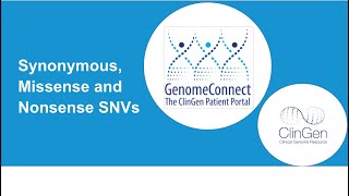 Types of Sequence Variants  Missense Nonsense and Synonymous Variants [upl. by Oidivo372]