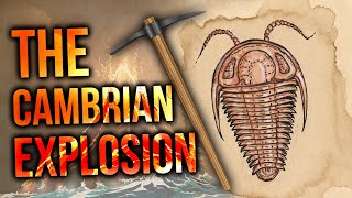 The Cambrian Explosion  David Rives [upl. by Izogn563]