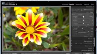 114 Introducción al pincel de ajuste de Lightroom 3 [upl. by Eile]