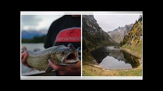 Fremde Fische fressen den Fälensee leer [upl. by Iur]