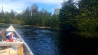 Whiteface Reservoir  Bum Creek Tributary June 3 2013 [upl. by Sunev]