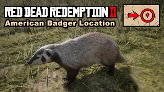 American Badger location  Red Dead Redemption 2 [upl. by Dorrej910]