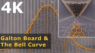 4K  Galton Board amp The Bell Distribution Explained  Math [upl. by Annayk469]