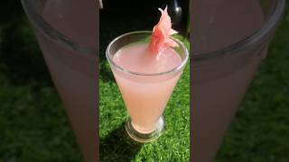 Pomelo Fruit Juice  Jambura recipe shorts [upl. by Tucky]