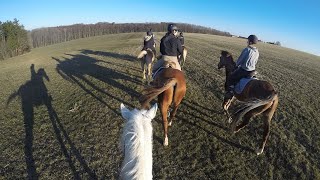 Reiterferien auf dem Ferienhof Schepper [upl. by Nwahsaj]