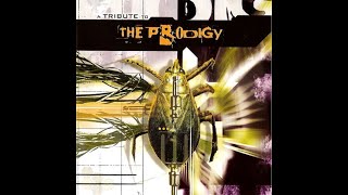 Various – A Tribute To The Prodigy 2002 [upl. by Novyat750]