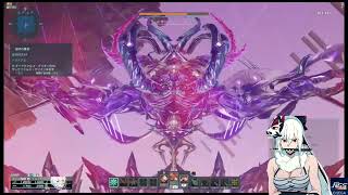 PSO2NGSダリオン 星砕の暴進 ソロクリア FiSl ナックルのみ DarkFalzDalion FiSl Solo clear Knuckles only 1337 [upl. by Nnaeinahpets]