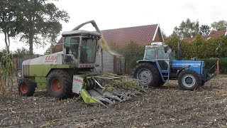 Chopping corn with Claas MF amp Landini [upl. by Droffats165]