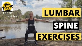 Lumbar Spondylosis Exercises [upl. by Thecla]