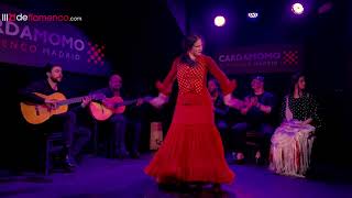 Paula Rodríguez en Cardamomo Flamenco Madrid [upl. by Sueahccaz]