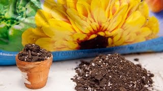 What is a Soilless Mix  Pros and Cons [upl. by Nylodnarb]