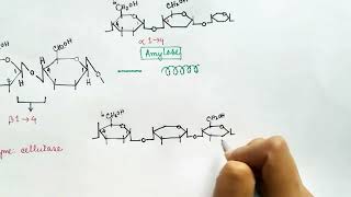 Carbohydrate Part 3 Hindi  Sucrose  Maltose  Lactose  Starch  Disaccharide  Polysaccharide [upl. by Ahsenor102]