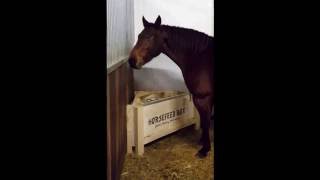 HORSEFEED BOX mit Fressplatte 8cm [upl. by Dov710]