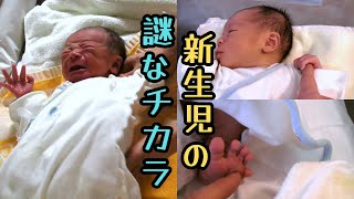 【生後0ヶ月】新生児だけの不思議な能力 [upl. by Hafler]