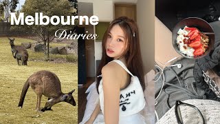 melb diaries 🇦🇺  moving to australia for uni zoo yochi st kilda home cooking VLOG [upl. by Aicilf]