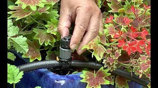 COMMENT ET POURQUOI INSTALLER UN SYSTÈME DE MICRO ARROSAGE DANS LE JARDIN OU SUR LE BALCON [upl. by Laurette]