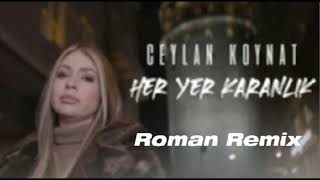 Ceylan Koynat her yer karanlik ama Roman Havasi Remix [upl. by Ahsienak]