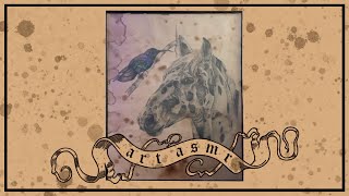 ART ASMR No Talking  Hummingbird amp Horse Illustration [upl. by Drescher]