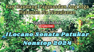 Kay Gandang Pagmasdan Mga Halamang Nauulanan  ILocano Sonata Patukar Nonstop 2024  Spriter Josh 8 [upl. by Nilahs925]