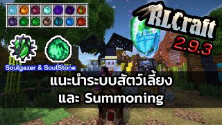 RLCraft 293 แนะนำระบบสัตว์เลี้ยง และ Summoning [upl. by Zeuqcaj]