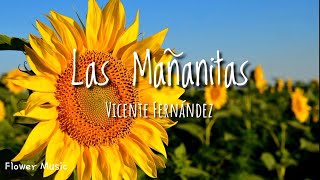 Las Mañanitas  Vicente Fernández Letra [upl. by Eivi]