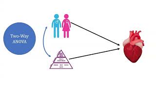 One way ANOVA vs Two Ways ANOVA [upl. by Aihcsrop163]