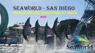 SeaWorld Dolphin Show Live  Dolphin Days in San Diego   Teaser [upl. by Zap440]