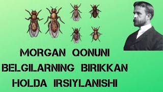 GENLARNING BRIKKAN HOLDA IRSIYLANISHI  MORGON QONUNI [upl. by Kinnie]