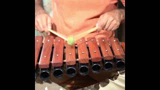 Enchanting Sounds of the 8Keys Wooden Xylophone  Sarveda Ethnic [upl. by Oilenroc]