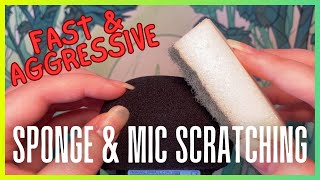 ASMR Sponge amp Mic Scratching  Loud Fast amp Aggressive  No Talking [upl. by Ezmeralda]