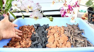 How to make best Potting Mix for Orchid  English Subtitle  Prakritis Garden [upl. by Aseen]