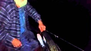 Catching Catfish Baiting Trotlines with Worms [upl. by Nytnerb]