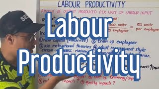 Labour Productivity [upl. by Lau743]