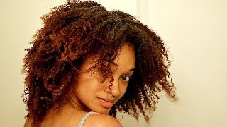 Im Dying My Natural Hair  Bri Hall [upl. by Uriel]