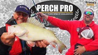 Perch Pro 2018  EPISODE 6  with French German amp Russian subtitles [upl. by Thirza767]