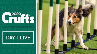 Day 1 Live  Crufts 2020 [upl. by Atsirt]