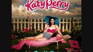 8  If Yoy Can Afford Me  Katy Perry  One Of The Boys 2008 [upl. by Atorod]