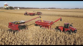 Corn Harvest near Lynn Indiana with Drew Farms [upl. by Bohaty]