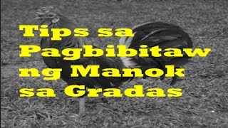 Pagbibitaw ng Manok sa Gradas [upl. by Kresic]