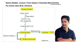 Ketone Body Formation Harper Illustrated Biochemistry [upl. by Darbie]