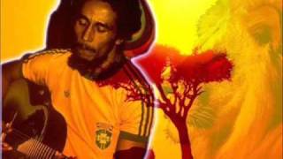 Bob Marley  Roots Natty Roots lyrics [upl. by Tiny]