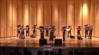 2014 Texas State High School Mariachi Competition Rio Grande City HS [upl. by Darsie612]