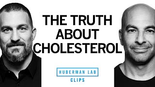 The Truth About Dietary Cholesterol  Dr Peter Attia amp Dr Andrew Huberman [upl. by Rosemare500]