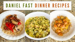 Daniel Fast Dinner Recipes amp Meal Ideas  Quick amp Easy [upl. by Carolynne]