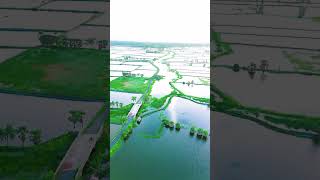 আমাদের গ্রাম Drone View sorts viralshort youtubeshorts dronview [upl. by Gwenneth]