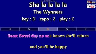 Sha la la la la  The Wynners Karaoke amp Easy Guitar Chords Key  D Capo  2 [upl. by Moise442]