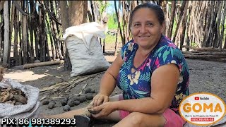 ELA JÁ COMEU CUSCUZ DE CASCA DE COCO BABAÇU POR QUE NÃO TINHA ALIMENTO  GOMA [upl. by Omero166]