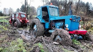 2x T40 stuck in mud  MTZ helps  Mega Wtopa  Extreme conditions [upl. by Ettelorahc]