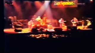 The Undertones  Live at Rockpalast 1981 [upl. by Nawek]